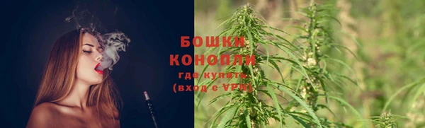 spice Абаза